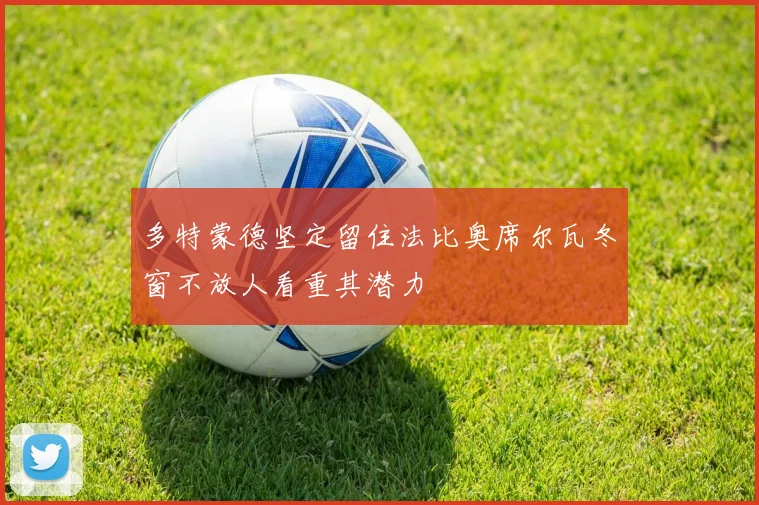 多特蒙德坚定留住法比奥席尔瓦冬窗不放人看重其潜力